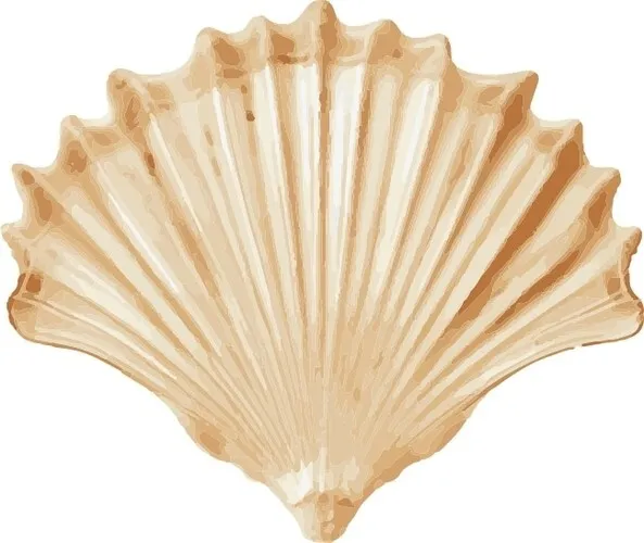 SVG Files for Design Projects, Sea Shell
