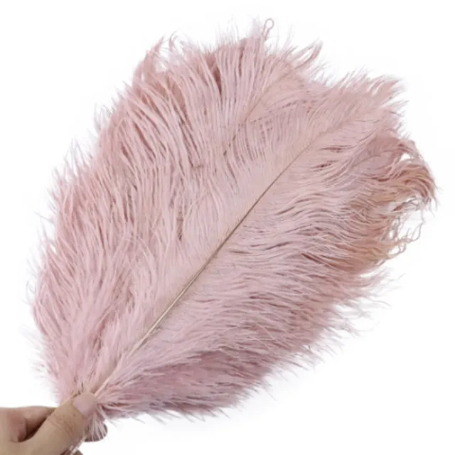 10 Pack 25-30cm Large Ostrich Feathers Plume Craft Wedding Party Decoration