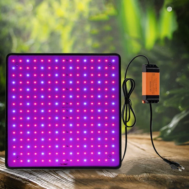 Full Spectrum LED Plant Light With Stand | 5W, 300 Lumen, 8300K For Terrariums, Potted Plants, Microaquariums