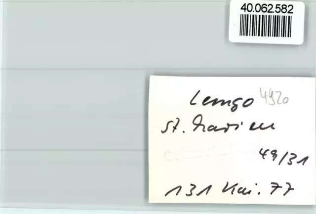 400682582 - 4920 Lemgo St. Mary's Church 2