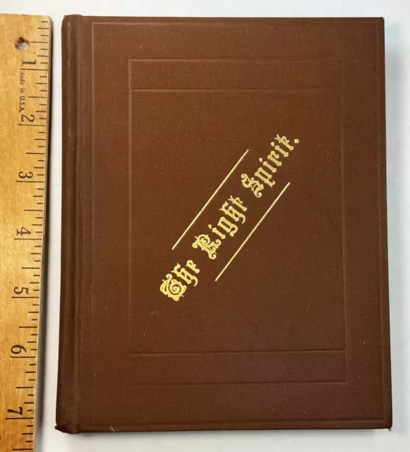 RARE Book - The Right Spirit - 1885 by Lizzie Cottier - Insane Asylum Wife Abuse