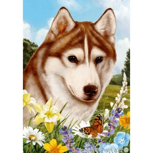 Summer Garden Flag - Brown-Eyed Red and White Siberian Husky 182301