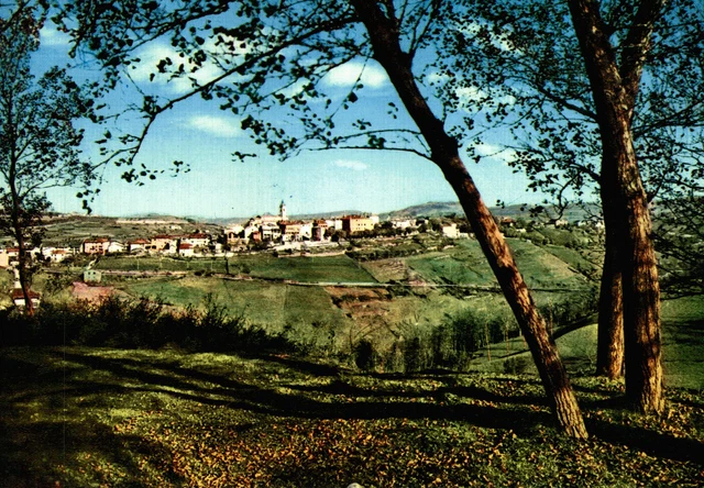 BOSSOLASCO, Cuneo - Panorama - "Campione" - NV - #004