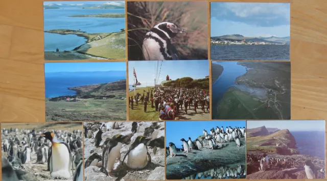 Falkland Islands: 10 Ansichtskarten 1989 echt gelaufen / Picture Postcards Used 2
