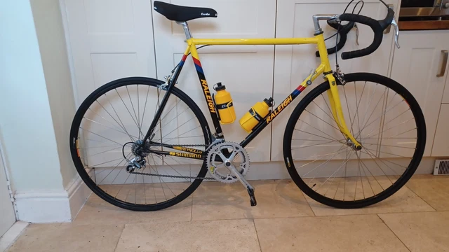 Raleigh sales banana 531c