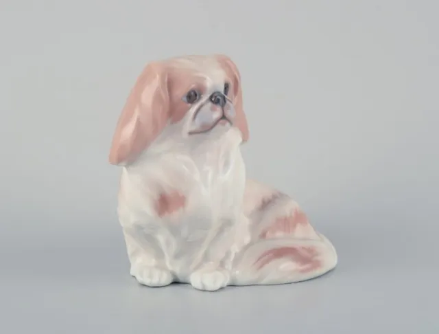 Royal Copenhagen porcelain figurine of a Pekingese dog. Model 1772. 2