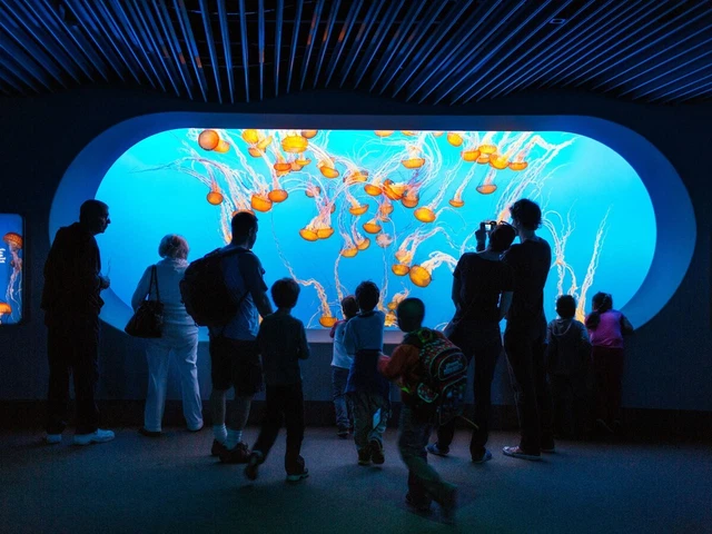 Monterey Bay Aquarium Tickets(Can specify the date to visit)