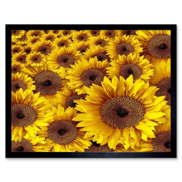 Photo Composition Nature Plant Flower Sunflower Yellow 12X16 Inch Framed Print