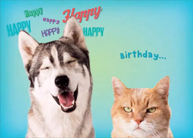 RSVP Happy Huskie and Grumpy Cat Funny / Humorous Dog and Cat Birthday Card