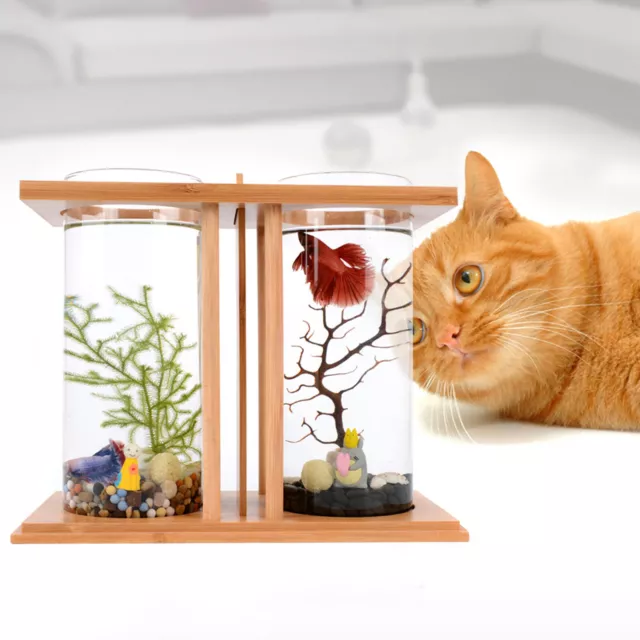Desktop Dual Glass Fish Tank Aquarium Goldfish Betta Bowl For All Water Type NEW
