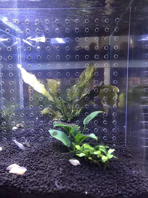 5.5 Gallon 7.4X 9.2 Gallon Tank Acrylic Divider Aquarium Isolation Board with