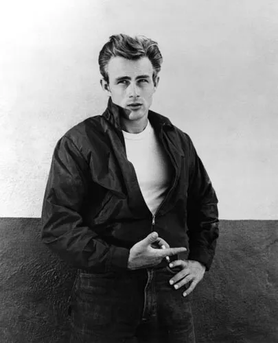 James Dean [Rebel Without a Cause] 8"x10" 10"x8" Photo 65019