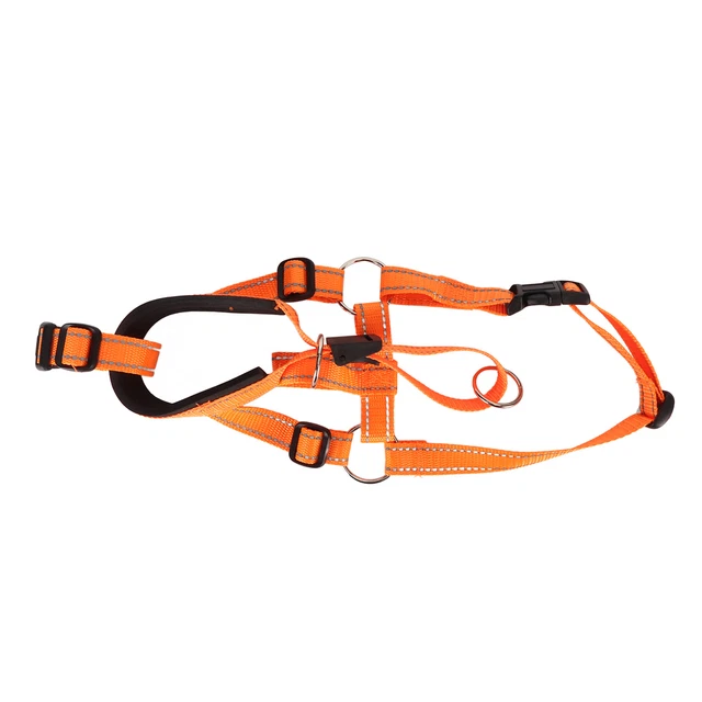 Collare Testa Cane Muso Regolabile Supporto Testa Cane Muso Prevenire Abbaiare