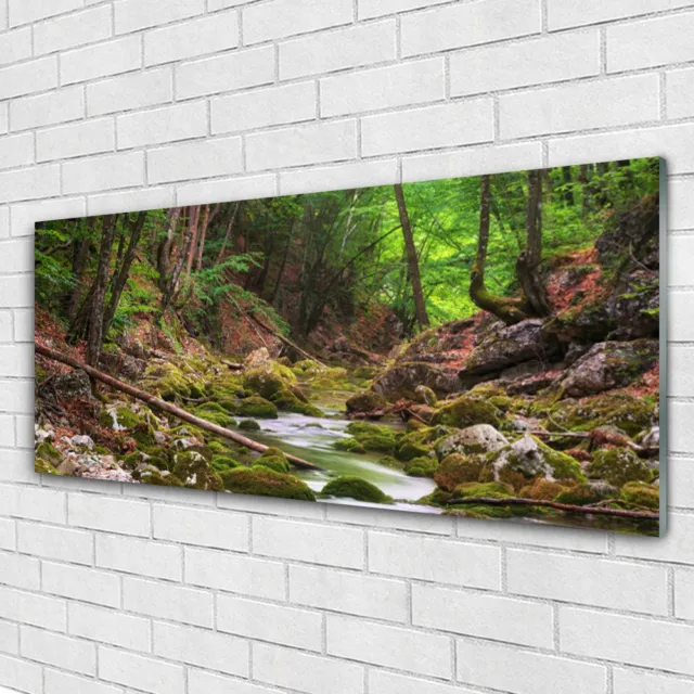 Acrylglasbilder Wandbilder Druck 125x50 Wald Natur