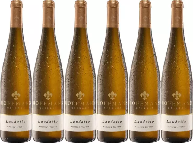 6x "LAUDATIO" Riesling, 2022 - Weingut Rudolf Hoffmann, Mosel! Wein