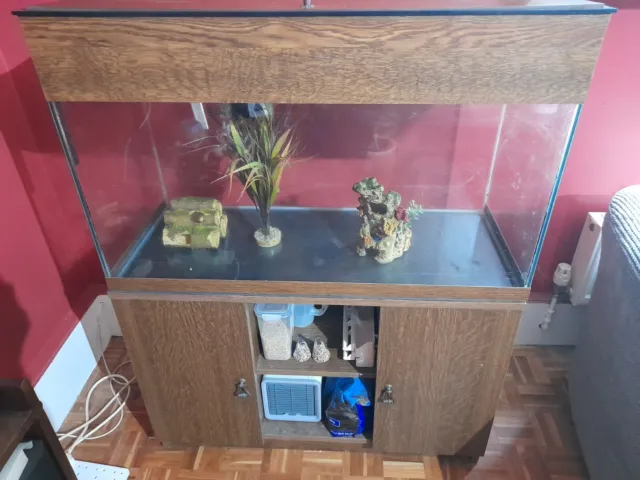 Large Fish Aquaruiam Tank and cupboard