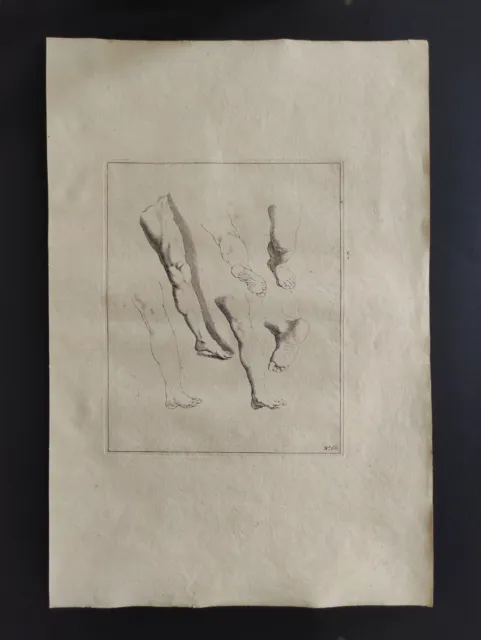 N°66, Artis Apelleae Thesaurus, Abraham & Frederik Bloemaert, Stampa 1723