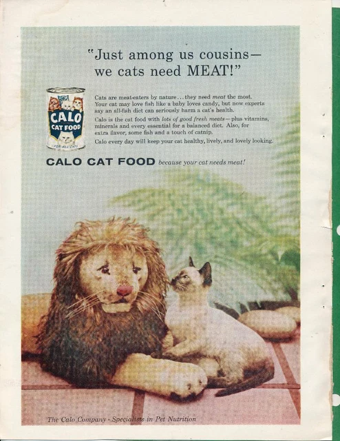 Magazine Ad - 1959 - CALO Cat Food - beautiful cat