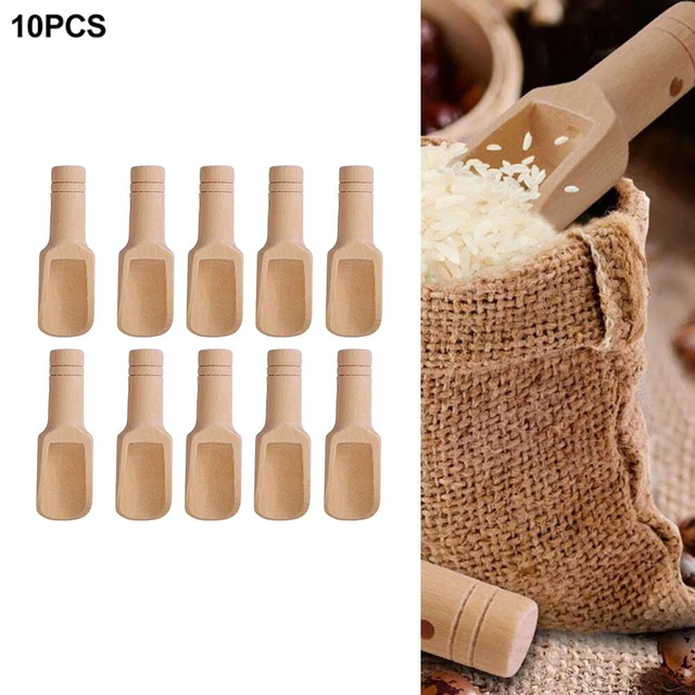 Cucchiaio rustico legno di loto spezie 10 mini cucchiai per spezie caffè e troppo