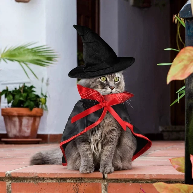 Haustier Hund Katze Vampir Kostüm Halloween Kleidung Cosplay Kostüm Set Cosplay
