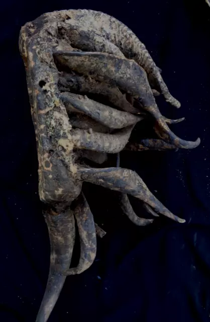 african tribal art a splendid  Mask  Dan Guerre Nguerre 52 cm vintage