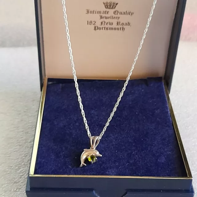 Sterling Silver Necklace & Dolphin Pendant (50)