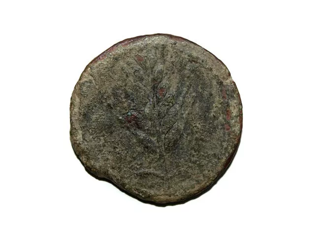 Monedas Ibericas: As, s. II a.c., 130 a.c. Aprox. Ilipense Villaronga 4 R-1 MBC