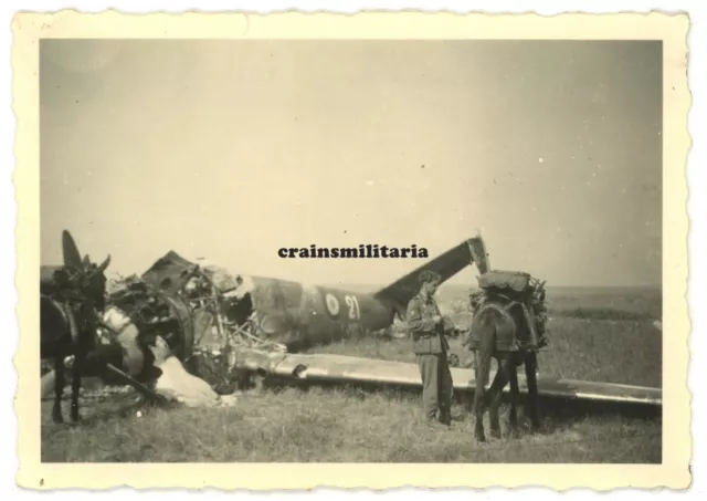 Orig. Foto franz. Flugzeug Wrack Bomber Potez 630 in Frankreich 1940