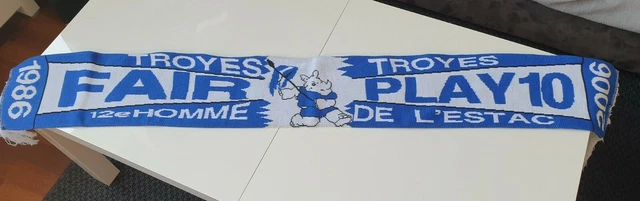 El City Football Group adquiere el ESTAC Troyes de Francia - Planeta Fobal