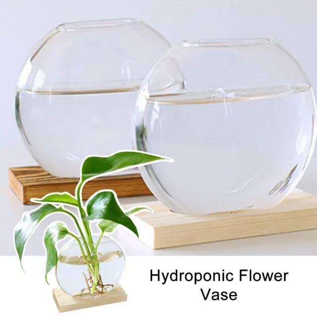 Decor Flower Arrangement Plant Flower Pot Hydroponic Flower Vase Glass Vase