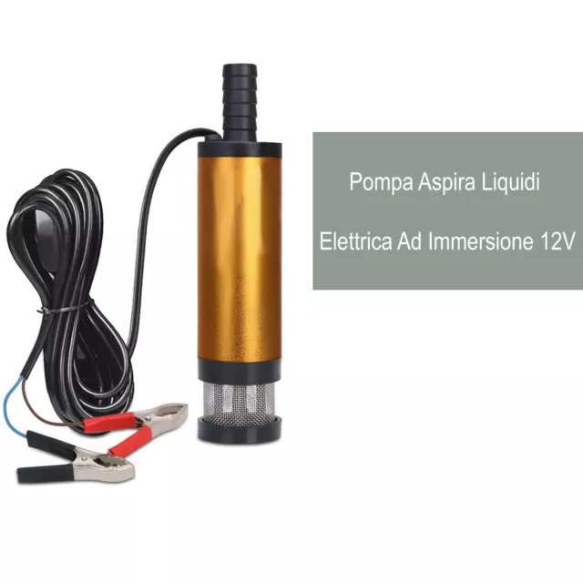 Pompa Aspira Liquidi Elettrica Ad Immersione Con Filtro Esterno Rimovibile 12V