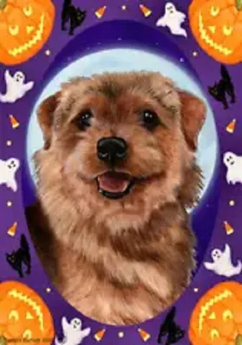 Halloween Garden Flag - Grizzle Norfolk Terrier