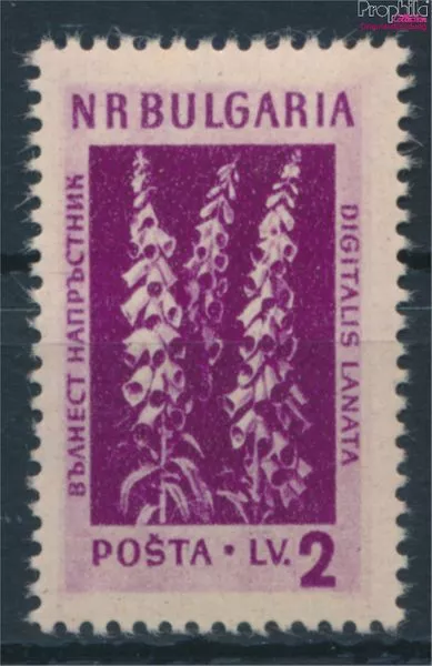 Bulgaria 885 unmounted mint / never hinged 1953 Mountain flowers and M (10135226