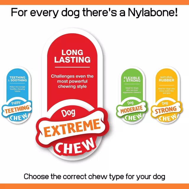 Nylabone Dura Chew Extreme Tough Dog Chew Toy Bone, Chicken Flavour, M, for Dogs 3