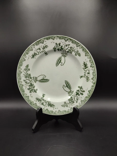 Ancienne Assiette Décorative Saint Amand Et Hamage - Modern Style - Collection