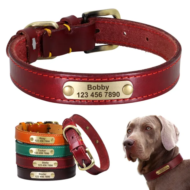 Personalizzato Collare per cani in Pelle imbottitura ID Nome Colletto XS-2XL