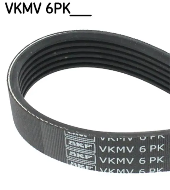 Cinghia trapezoidale SKF VKMV 6PK2255 per MERCEDES CLASSE W203 modello S203 CL203 CDI