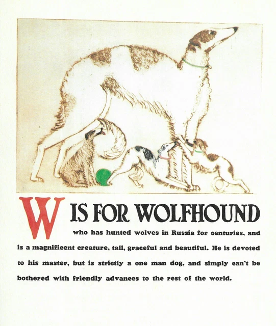 "W" is for Irish Wolfhound - CUSTOM MATTED - Vintage Dog Art Print - Clara Tice