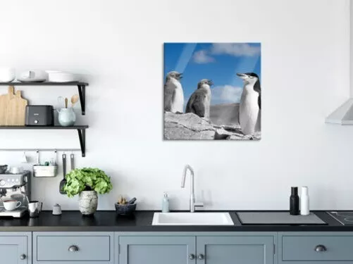 Dulce Pingüinos Imagen Cuadrados De Vidrio Real, Con Soporte Pared 3