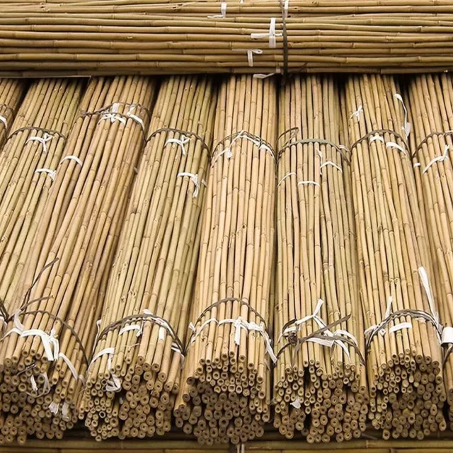 2ft-3ft-4ft-5ft-6Ft Thick Strong Bamboo Canes Heavy Duty Garden Plant Support