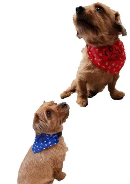 bandana per cane cani Collare regolabile taglia media grande piccola e cucciolo