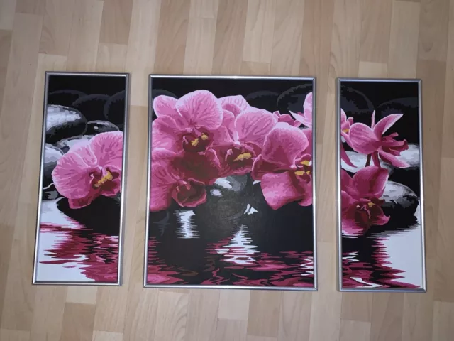 Malen nach Zahlen Bild - Orchideen - Triptychon - mit Rahmen - Schipper