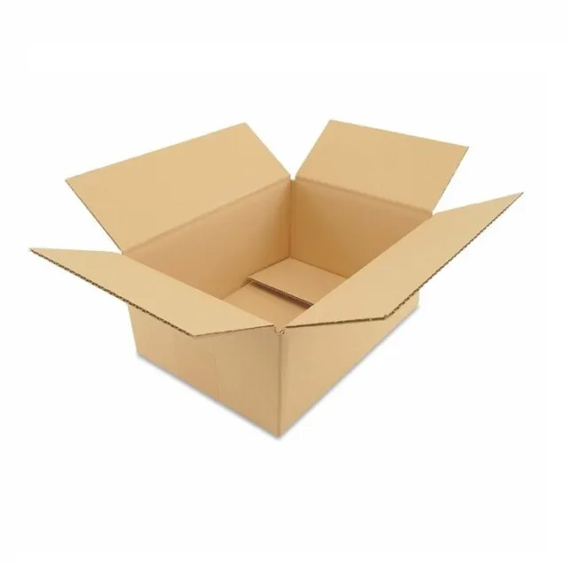 100 Cajas de cartón (250 x 175 x 100 mm) Kraft Canal Simple Para Envíos Postales