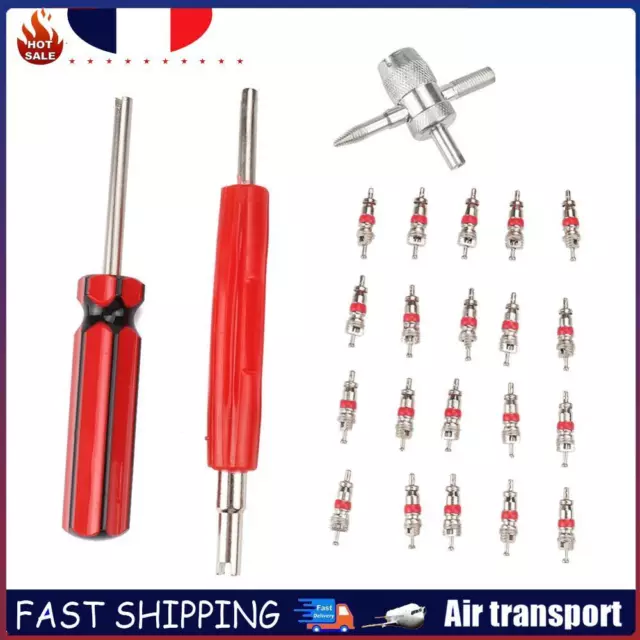 20x Air Conditioning Valve Core+Dual Single Head Removers w/ 4-Way Valve Tool FR