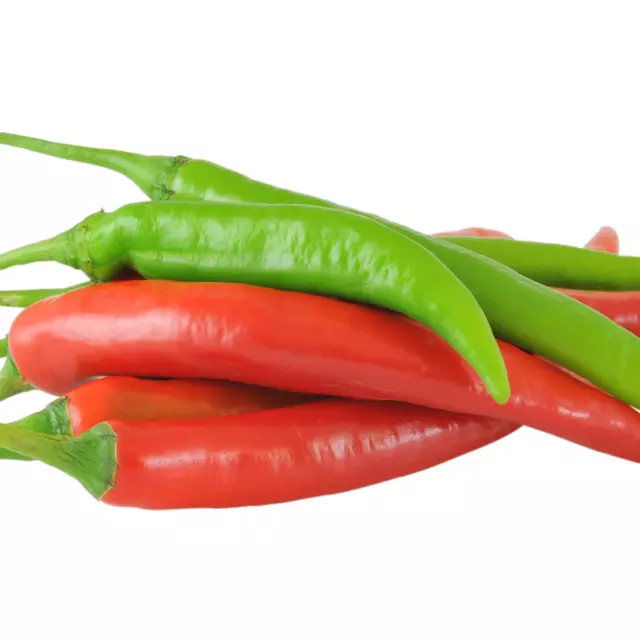 Chilli Plants - 'Joker' - 6 x Large Plug Plant Pack