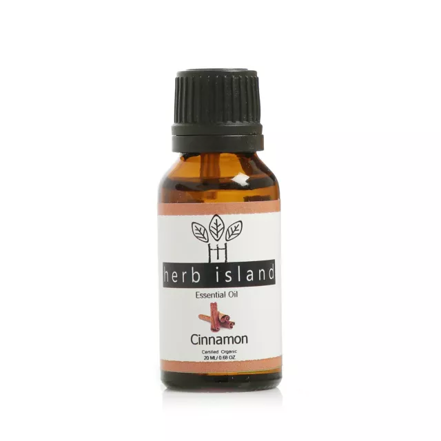 100% Puro Canela Natural Aceite Esencial Compra Mejor 15ML A 100ml