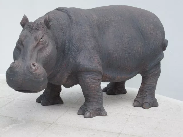 Taxidermie réplique  hippopotame en résine trophée factice