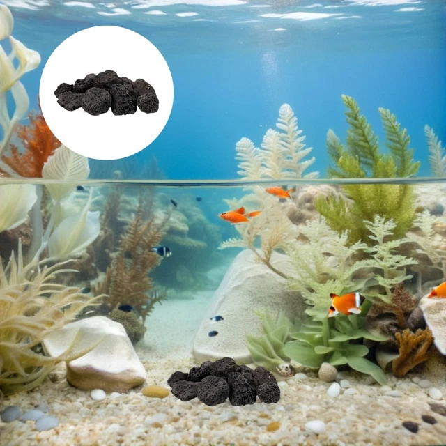 Small Fish Tank Rocks FISH TANK VOLCANIC Rocks Small Natural Stones Decorations for Potted ...