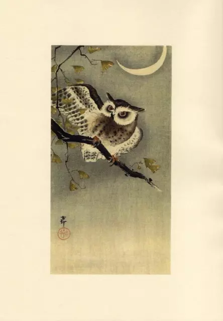 Japanese Reproduction Woodblock Print Owl by Ohara Koson on Parchment Paper.