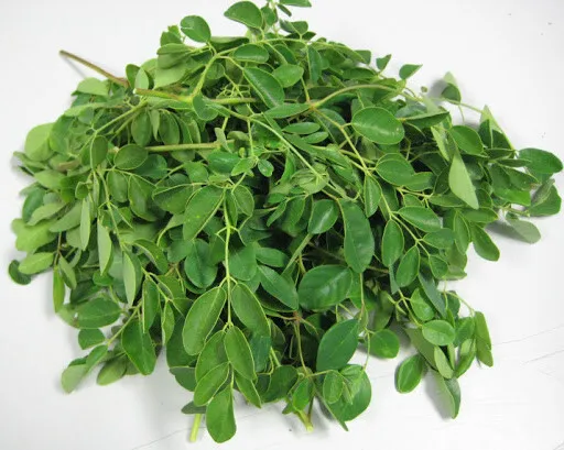 Dried Moringa Oleifera Leaf Leaves/powder  100%Organic natural premium quality A 2